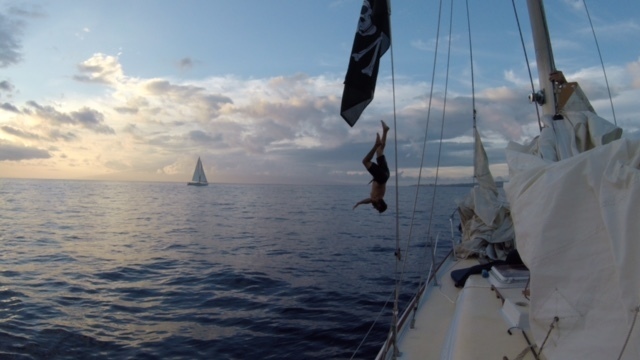 Maui Jim in the News: Making Travel Worth the Trip