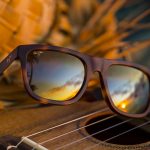 polarized lenses with brown frames