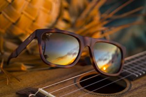 polarized lenses with brown frames