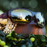 Monkeypod sunglasses style