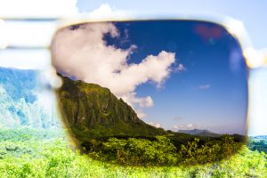 View through Maui Jim Compass Sunglasses
