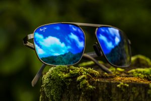 Waihee Polarized sunglasses style
