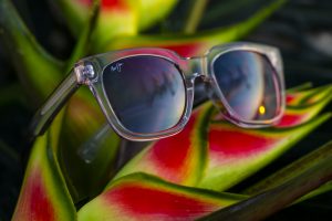 Heliconia Sunglasses by Maui Jim