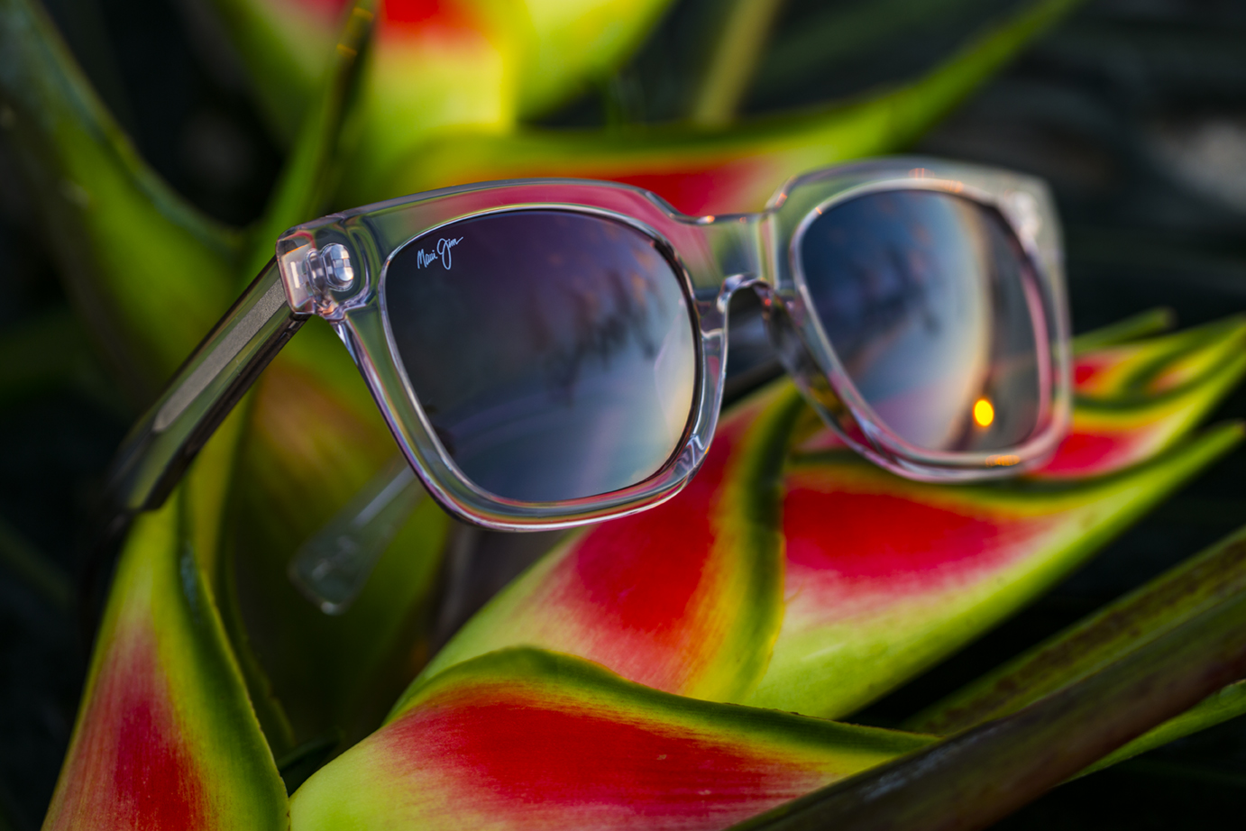 Product Spotlight: Heliconia