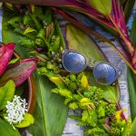 Maui gradient Sunglasses