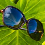 Taro Sunglasses
