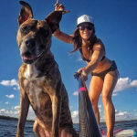 Surfing with a dog and Maui Jim sunglasses