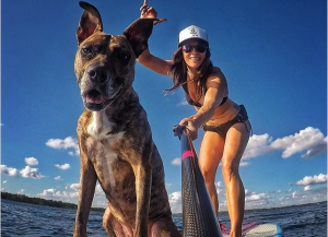 Surfing with a dog and Maui Jim sunglasses