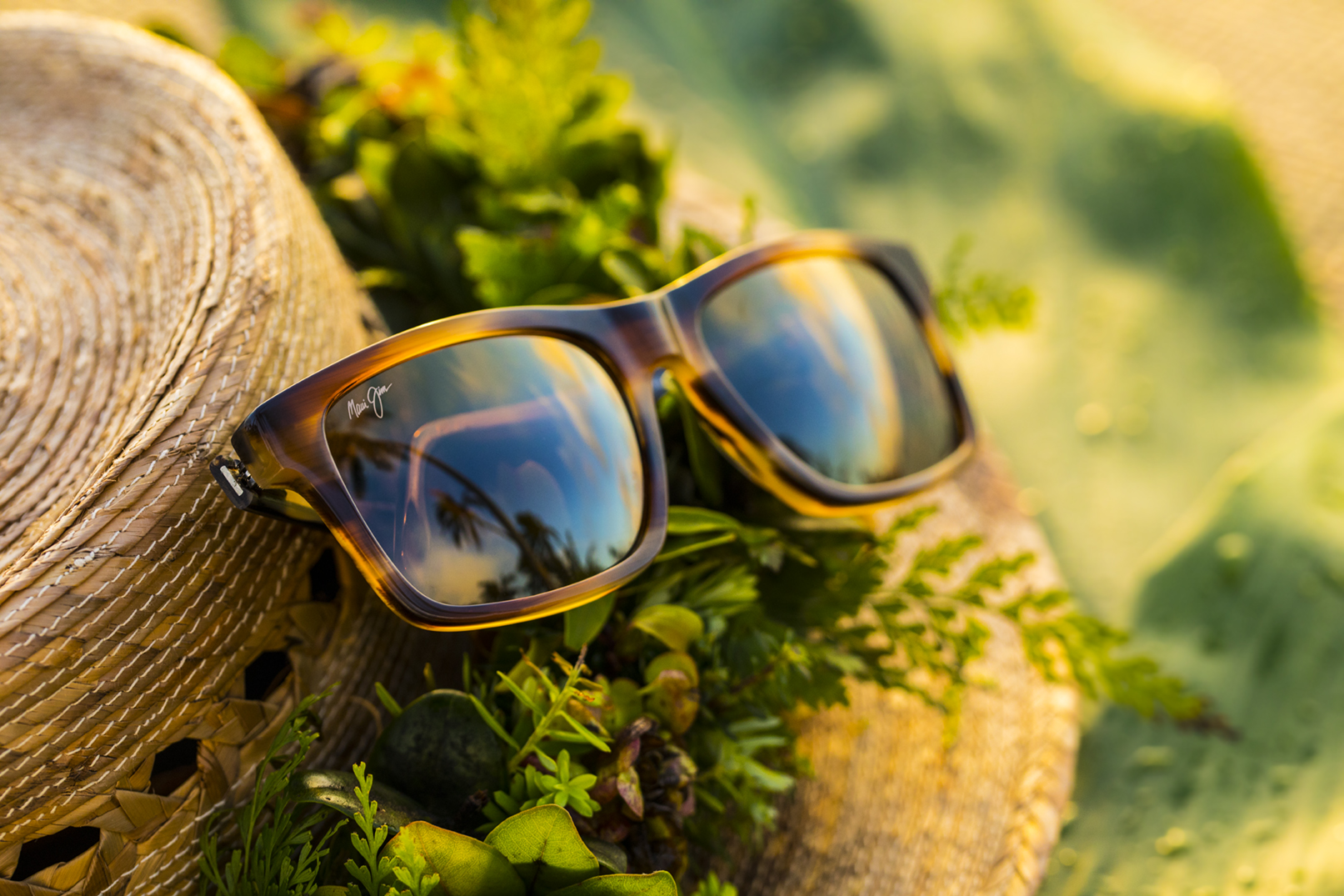 Waipio Valley Sunglasses