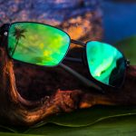 Cove Park Sunglasses