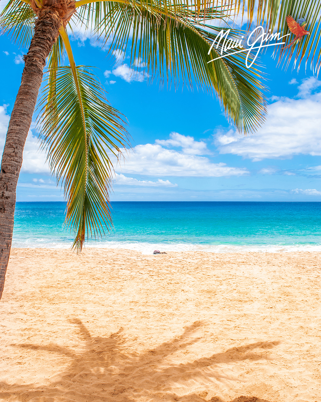 Maui Palm Tree on the Beach