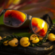 Pailolo sunglasses with Translucent Matte Grey frame and HAWAII LAVA™ lenses on a lei