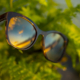 Alulu sunglasses with Dark Tortoise frame and HCL® Bronze lenses in front of some greenery