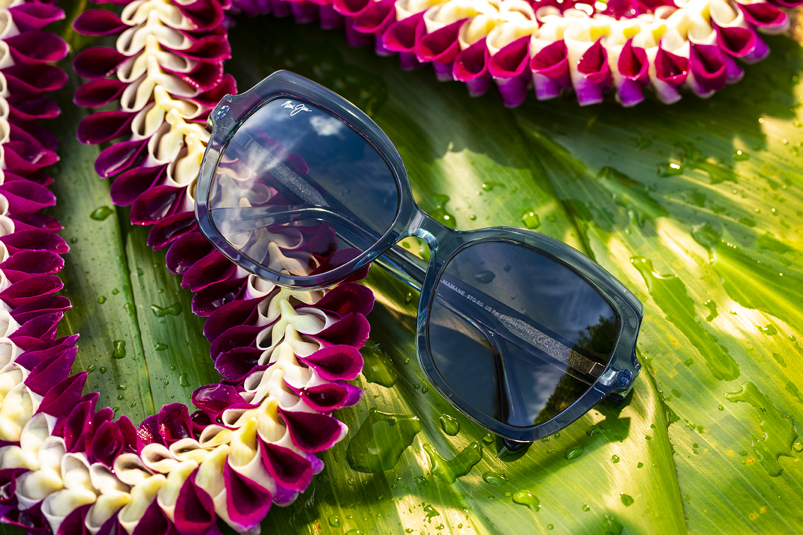 Mamane: The Oversized Butterfly-Shaped Fashion Frame