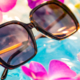 Brown polarized fashion sunglasses floating in a pool and surrounded by pink flowers