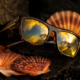 Tortoise Sunglasses on lava rock
