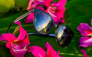 Black with Crystal Mehana sunglass sits on a leaf surrounded by pink flowers