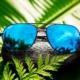 Black Mano sunglasses with blue lenses on a rock surrounded by leaves